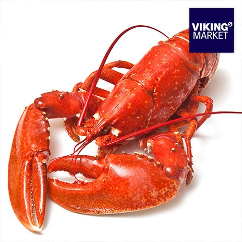 [100%캐나다산] 바이킹스 자숙랍스터 4미