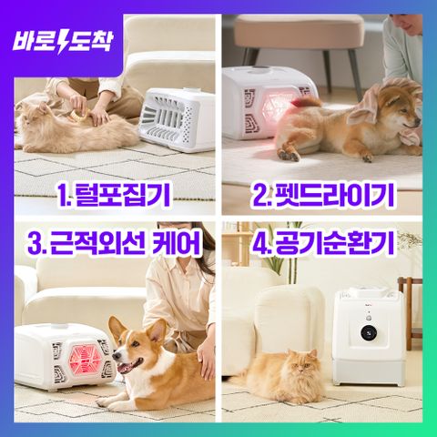 페페 앱스퍼 펫케어가전 4 in 1 털포집 드라이기 적외선 공청기