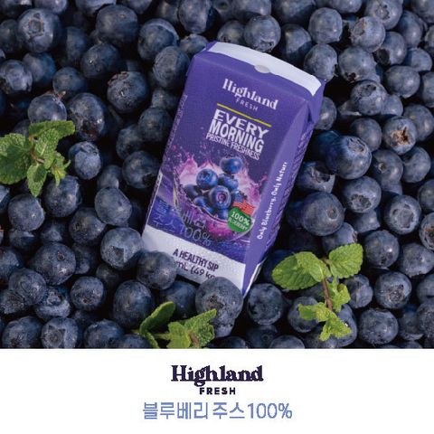 하이랜드 프레쉬 100% 블루베리 착즙 주스 48팩 120mL (무설탕 NFC)