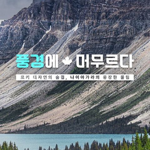 [NO쇼핑] 캘거리 직항 캐나다 완전일주 8일/11일 (로키 산맥 이동시간 단축 + 나이아가라 폭포뷰 숙박)