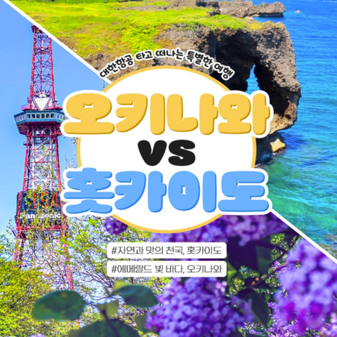 [하나투어] 프리미엄 일본여행, 오키나와vs훗카이도 대한항공 패키지