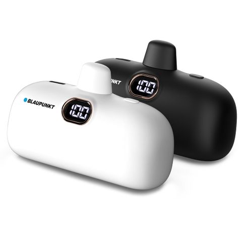 블라우풍트 C타입 보조배터리