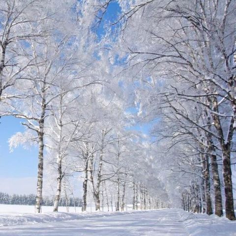 [상담예약] 참좋은여행 북해도 4일 패키지