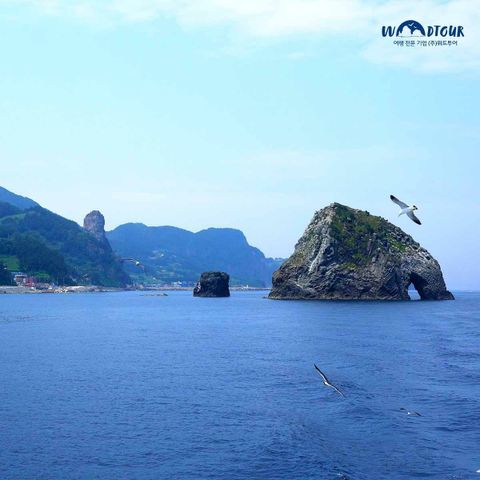 [위드투어]울릉도/독도 포항출발 대형크루즈 3박4일 패키지 