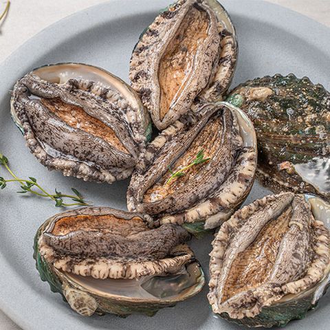 바다마을 완도 활전복..