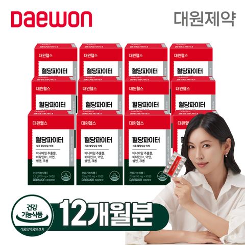 대원제약 혈당파이터 12개월분