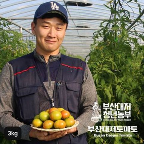 부산 햇 대저토마토 3kg