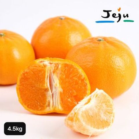 제주 햇 천혜향 4.5kg