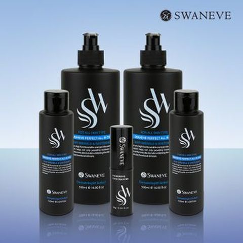 스와니브 남성올인원 500mlX2+100mlX2+스틱향수 (총 5종)