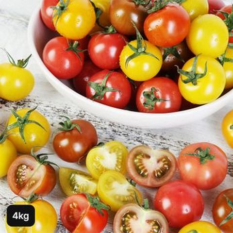 전북 스마트팜 오색칵테일토마토 4kg