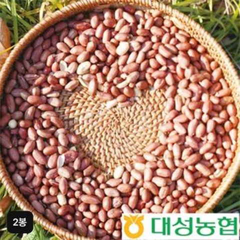 대성농협 국내산 고소한 볶음알땅콩 300gX2봉