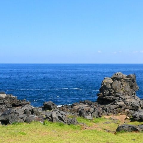 JS라이프투게더 제주도 4일 패키지 균일가 189,000원