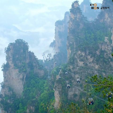 [여행의신세계]교원투어 장가계5/6일  아시아나항공 노팁노옵션!월드체인호텔숙박 799,000원부터!