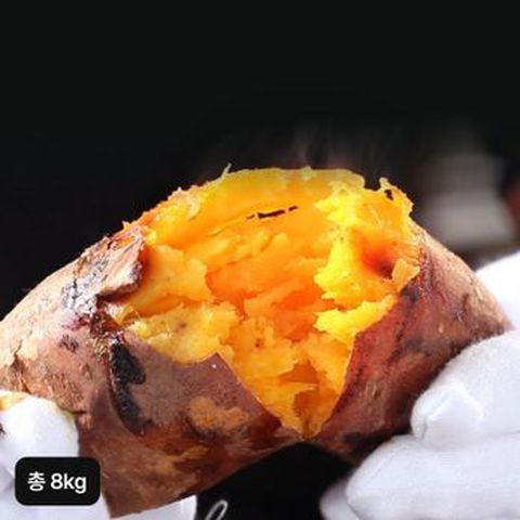 26년 특등급 해남 꿀고구마 4kg+4kg (총 8kg)