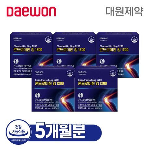 대원제약 콘드로이친킹 1200 총 5개월분