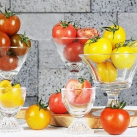 2026 오색 칵테일 토마토 5kg