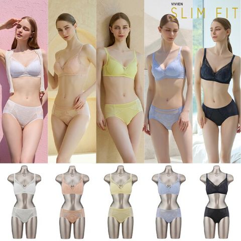 비비안 SLIMFIT 풀레이스 브라팬티 5세트