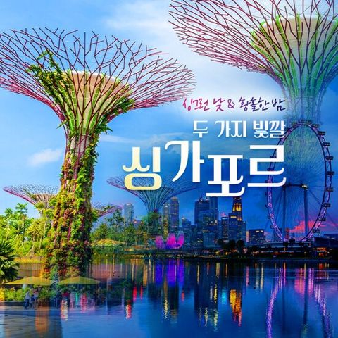 [초특가/NO쇼핑/머큐어호텔] 싱가포르 5일 패키지