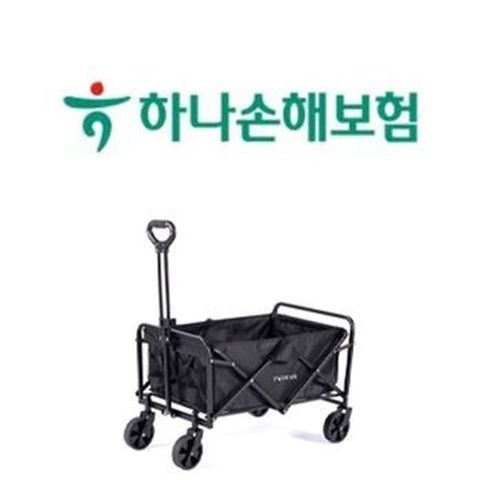 (무)하나더넥스트치매간병보험_레켐비_바이마르웨건_2604