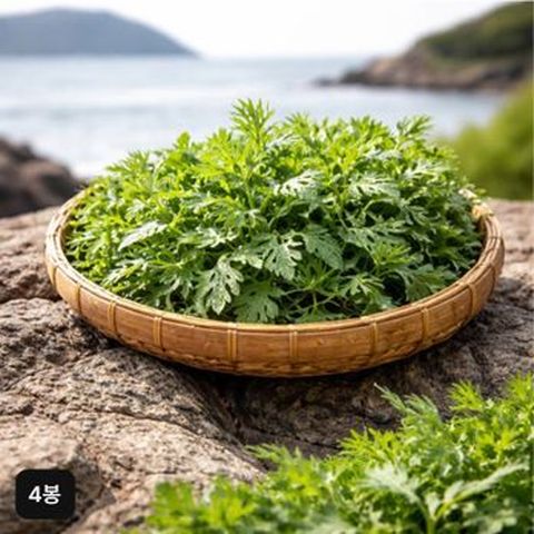 (선택1) 해풍 맞은 거문도 햇 쑥 (500g x 4봉)