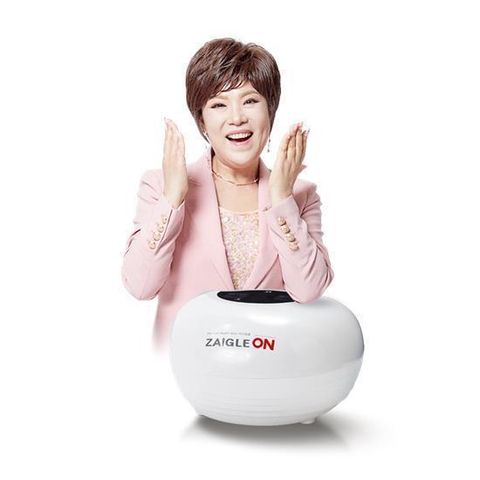 자이글온 네스트 고주파 통증완화 의료기기 렌탈