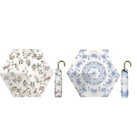 ○ 접이식 암막 양우산 2종 세트(엘더우드+오드리)