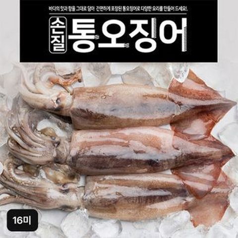자연산 손질 통오징어 16마리(260g(2마리) x 8팩)