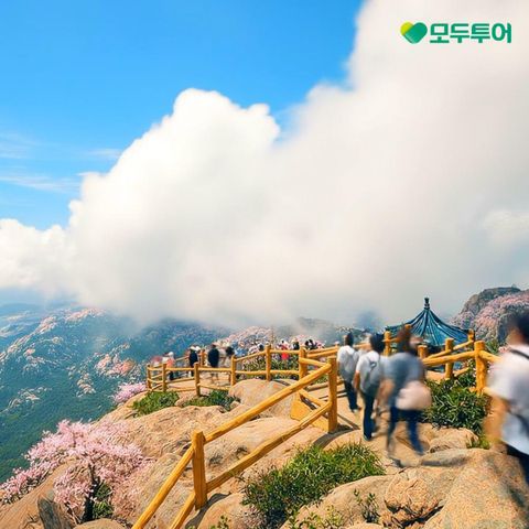 [*특집전]모두투어 시그니처 청도! No기사경비/No옵션, 월드체인호텔, 전일정식사! 399,000원부터