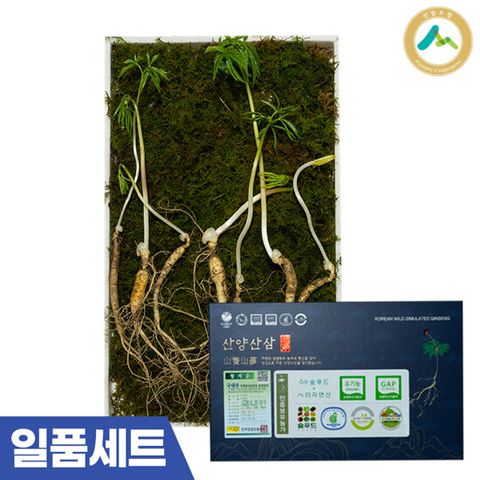 국내산 평창 유기농 산양삼 일품 선물세트 (6∼7년근 / 7뿌리)