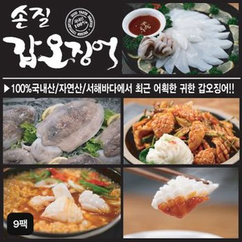 국내산 大 손질 햇 갑오징어 9팩