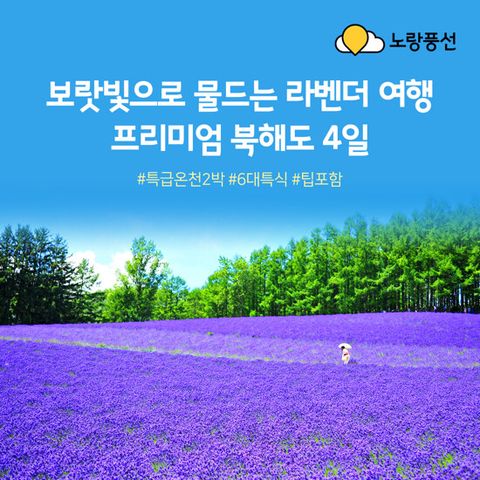 [NO팁/NO옵션][라벤더 시즌 포함] 북해도 4일 패키지