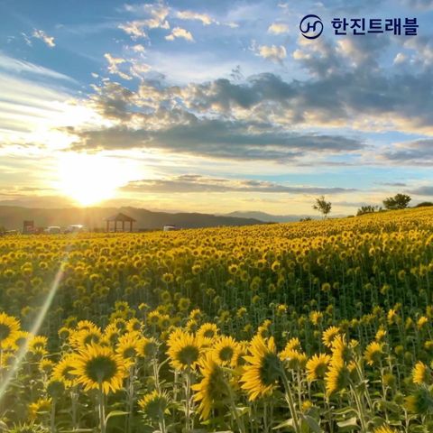 [특집전] 한진트래블 니가타 3박4일! No쇼핑/No옵션/대한항공/온천호텔