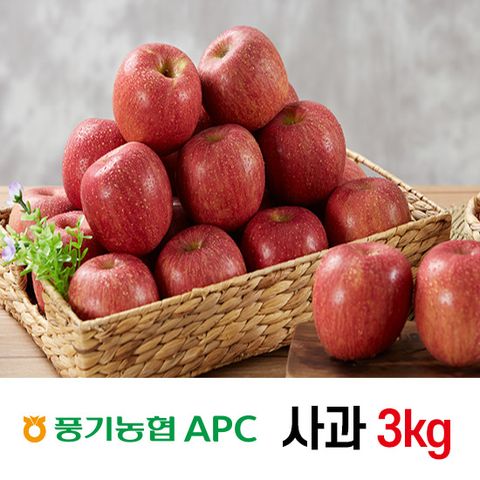 풍기농협 특등급 세척사과 3kg