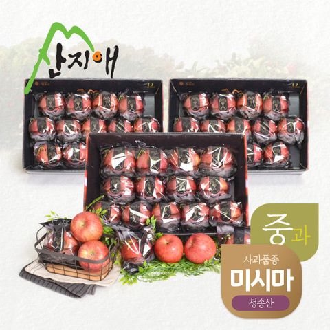 산지애 블랙라벨 사과 9kg (3kg*3박스, 총 39~42과)