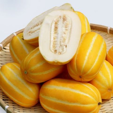 26년 햇 정담 실속형 성주참외 10kg