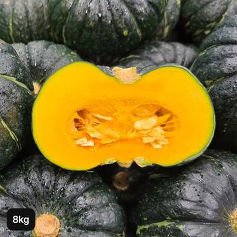제주 미니 밤호박 8kg