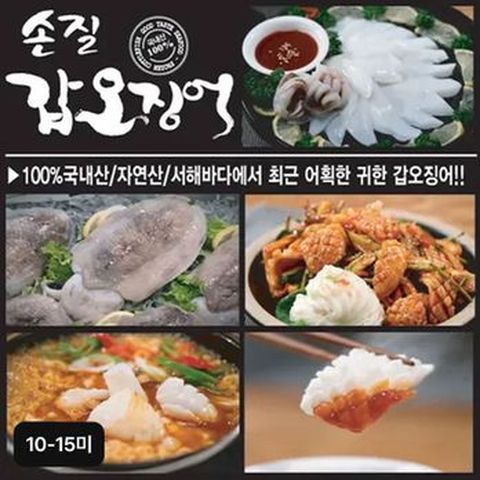 국내산 햇 갑오징어 5팩 (10~15미)