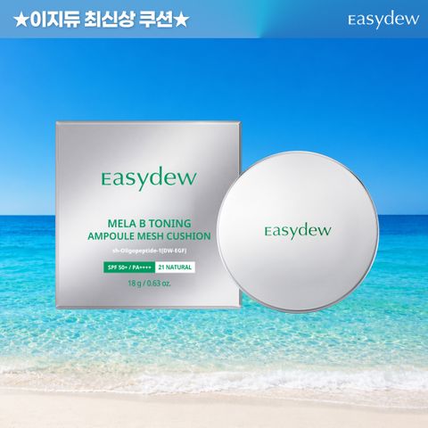 대웅제약 아이스 메쉬쿠션 본품 1개