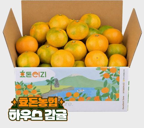 [카드 5%할인][효돈농협]프리미엄 제주 하우스 감귤 특등급 2.5kg (2s-m 사이즈)