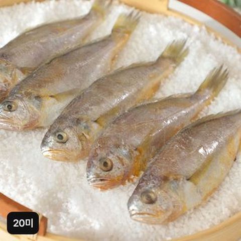 국내산 프리미엄 참굴비 20미(미당 60~89g)