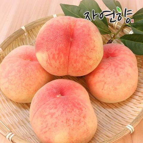 26년 햇 자연향 아삭이 복숭아 3kg*2박스