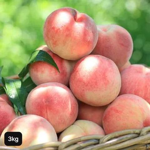 경북 의성 아삭한 햇 백도복숭아 3kg