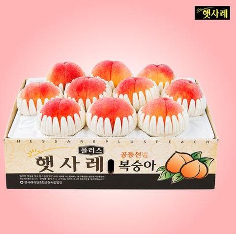 (그레이트백도) 햇사레 백도 복숭아 6kg(3kg+3kg)