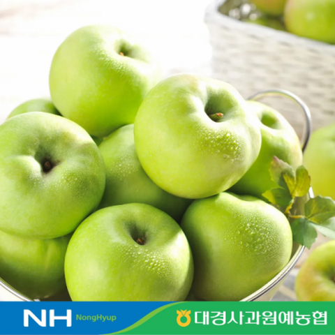 [군위]26년 썸머킹 사과 4.5kg*1박스/개당160~200g/총23~29개