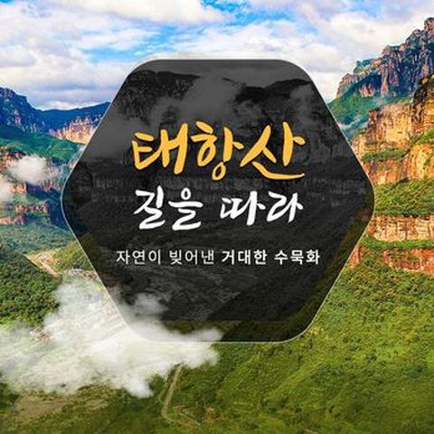 ★NO선택관광★$490상당 유료관광 모두 포함,통나무 독채리조트+3大협곡 ALL 포함, 태항산 완전일주