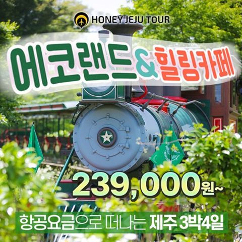 [항공포함] 허니제주 제주도 에코랜드+힐링카페투어 3박 4일 패키지 (14만원 상당 식사+음료 포함)