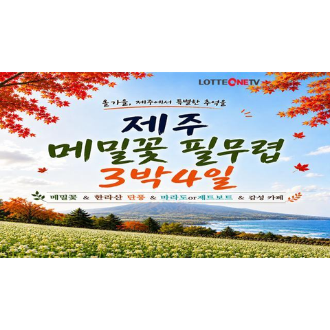JS라이프투게더 제주도 4일 패키지