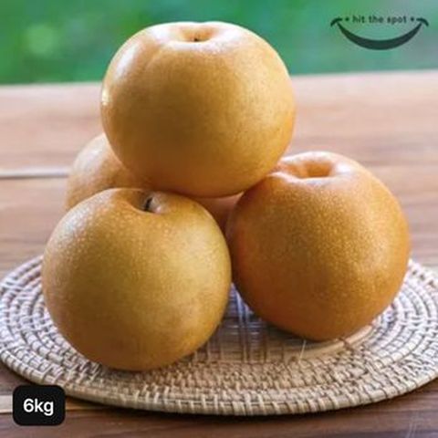 내입에 못난이 햇 나주배 6kg
