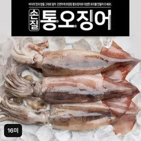 자연산 손질 통오징어 16마리(240g(2마리) x 8팩)