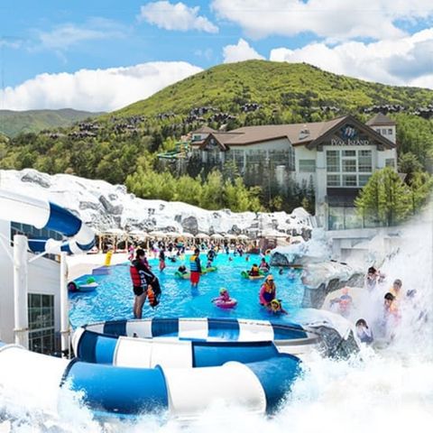 [2박 4인] 용평리조트 폴 인 러브 패키지 (식사(2회)+BIG5 이용권(2회)+BIG12 할인권)